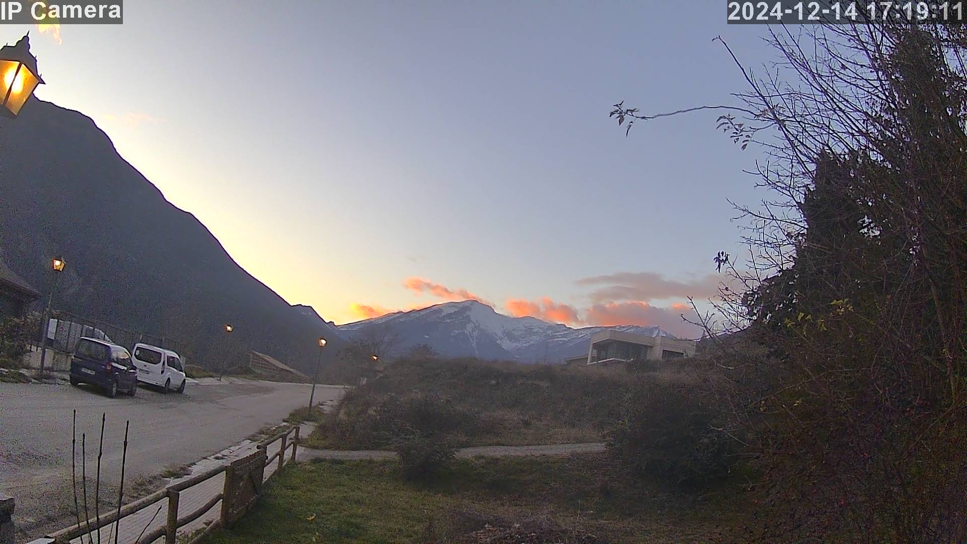 Live Camera Feed