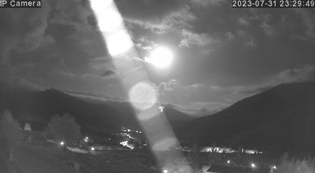 Live Camera Feed